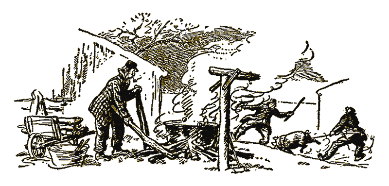 Illustration