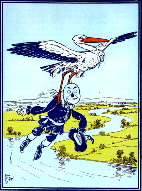Illustration
