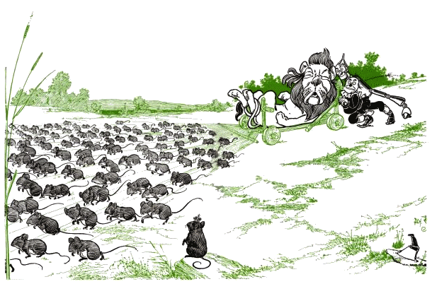 Illustration