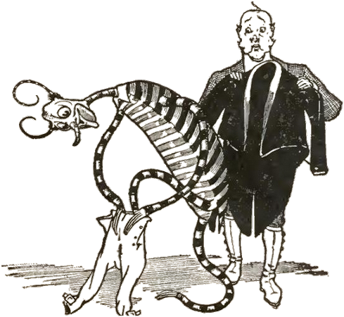 Illustration