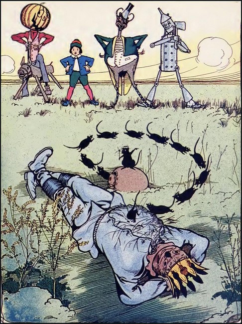Illustration