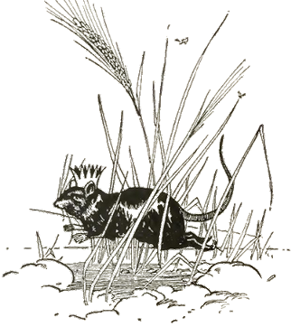 Illustration