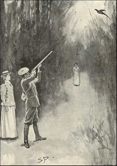 Illustration