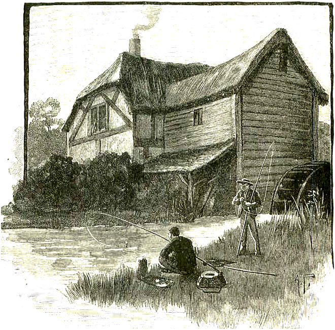 Illustration