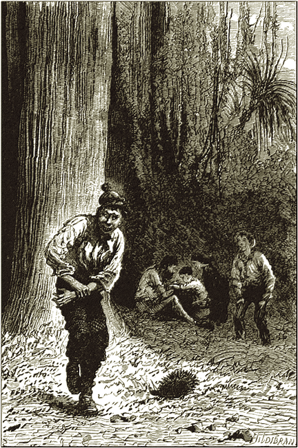 Illustration