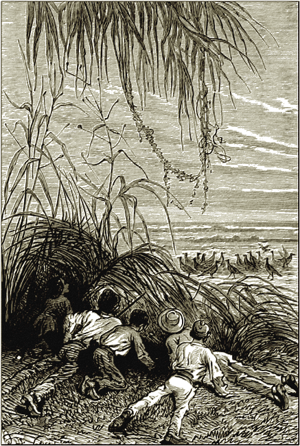 Illustration