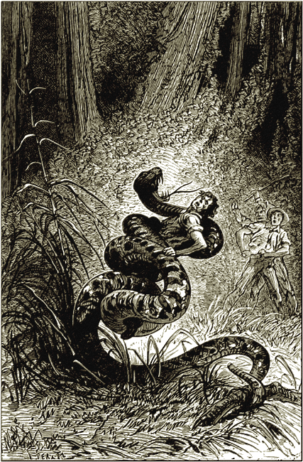 Illustration
