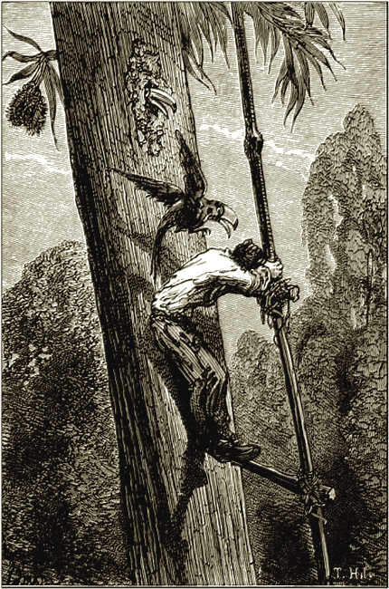 Illustration