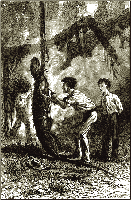 Illustration