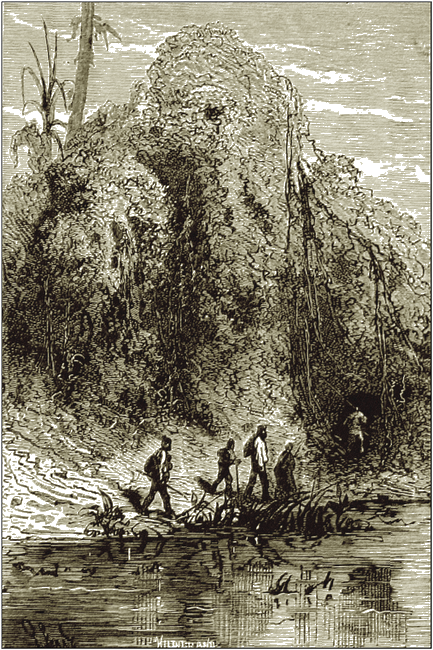 Illustration