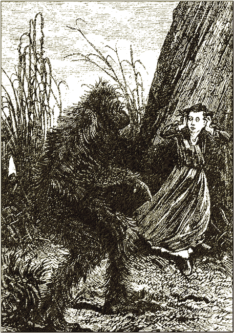 Illustration