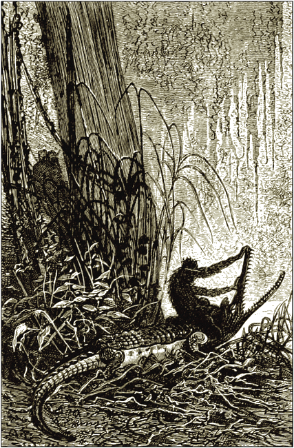 Illustration