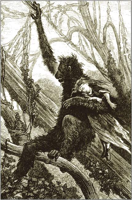 Illustration