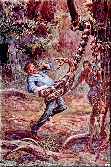 Illustration