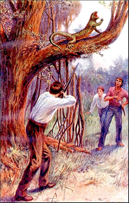 Illustration