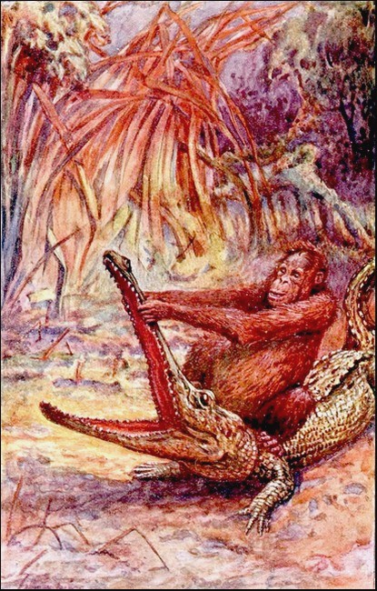 Illustration