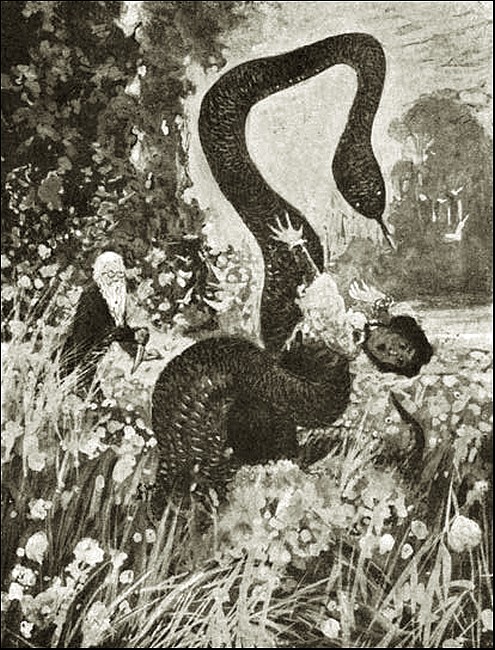 Illustration