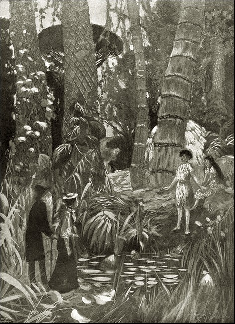 Illustration