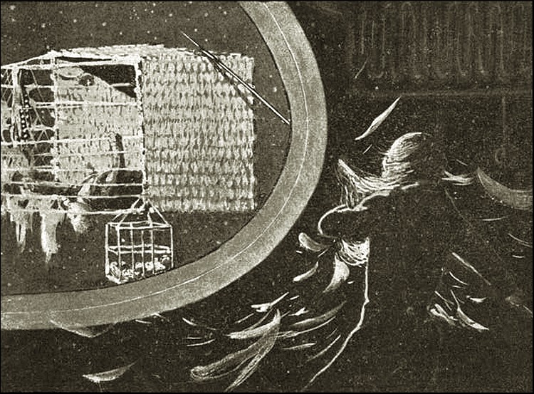 Illustration