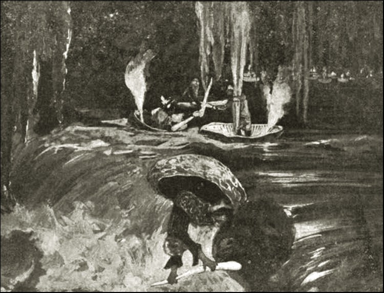 Illustration