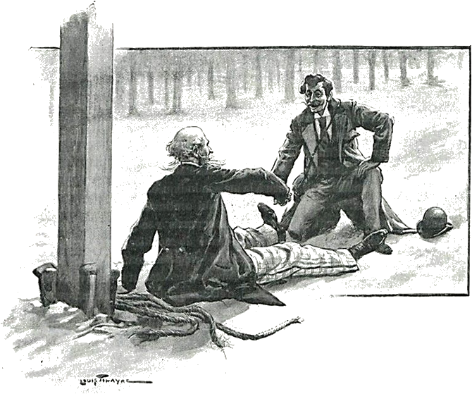 Illustration