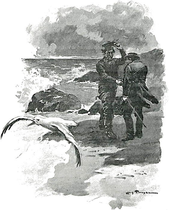 Illustration
