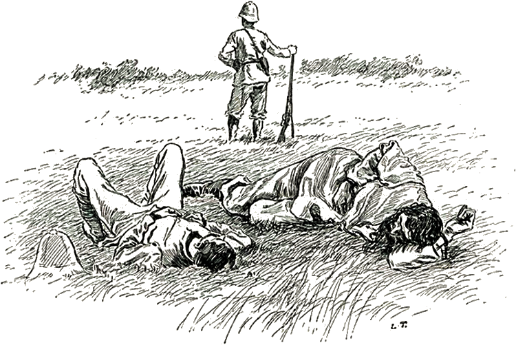Illustration