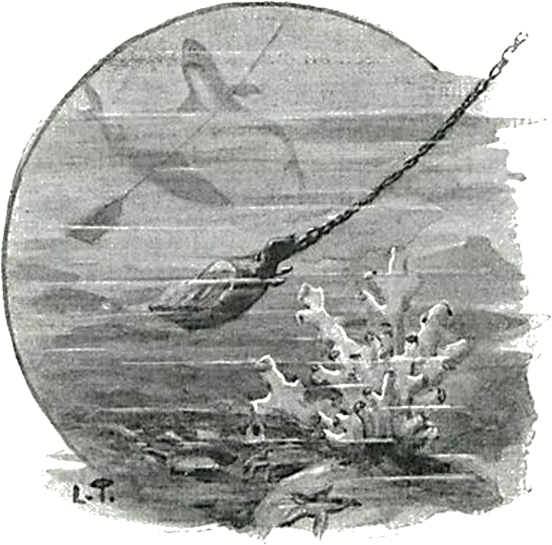 Illustration