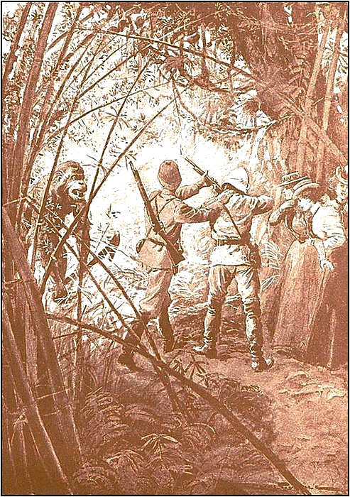 Illustration