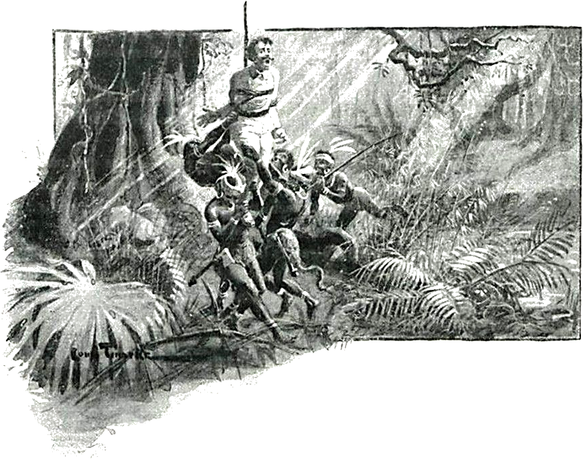 Illustration