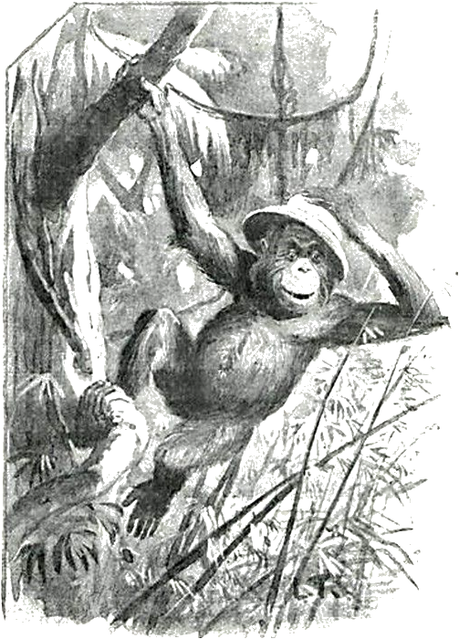 Illustration