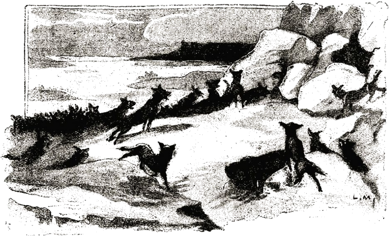 Illustration