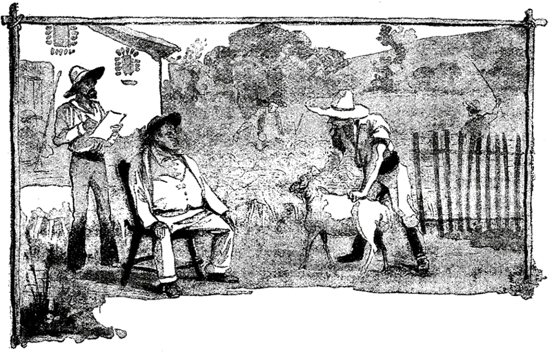 Illustration