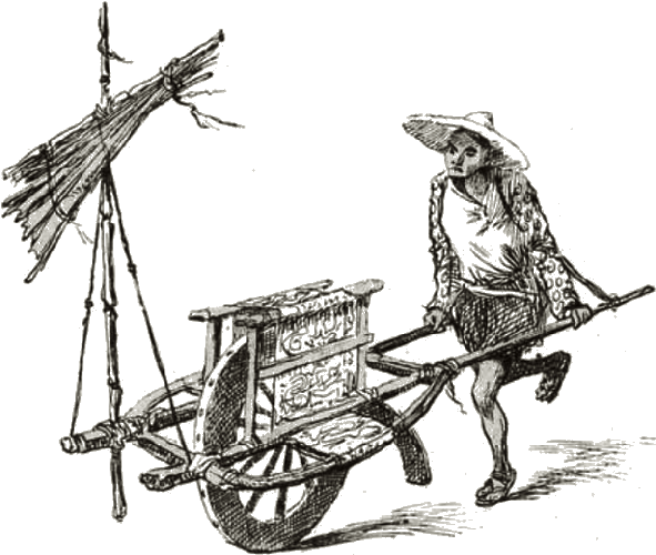 Illustration