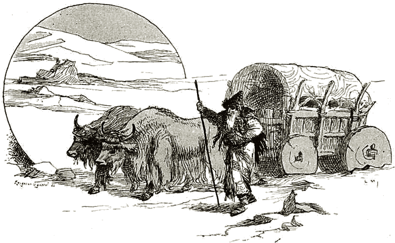Illustration