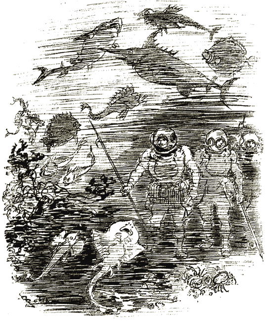 Illustration