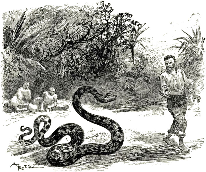 Illustration