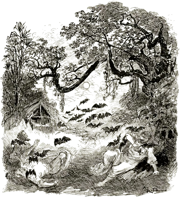 Illustration