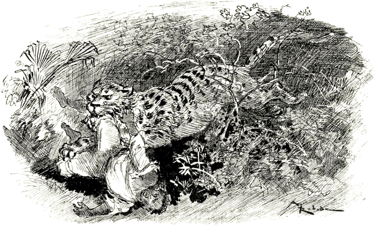 Illustration