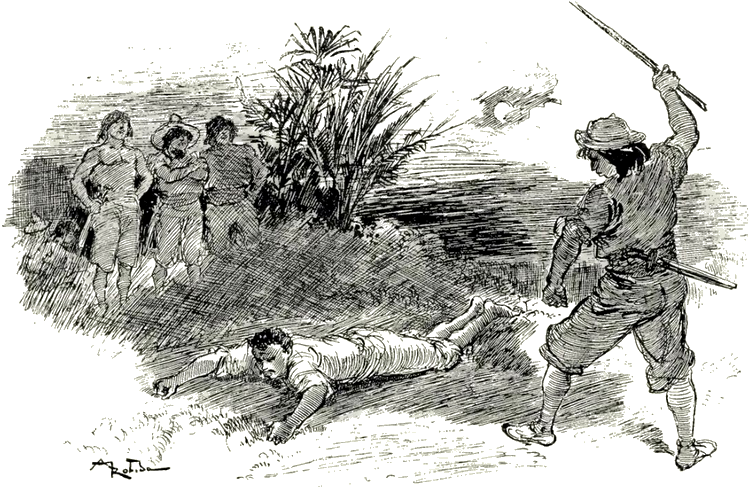 Illustration