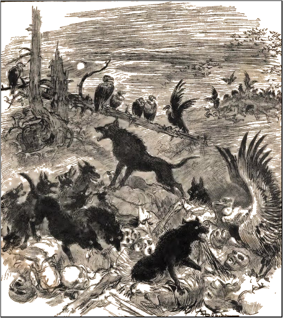 Illustration