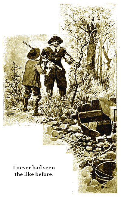 Illustration