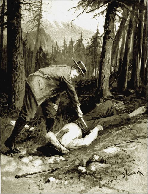 Illustration