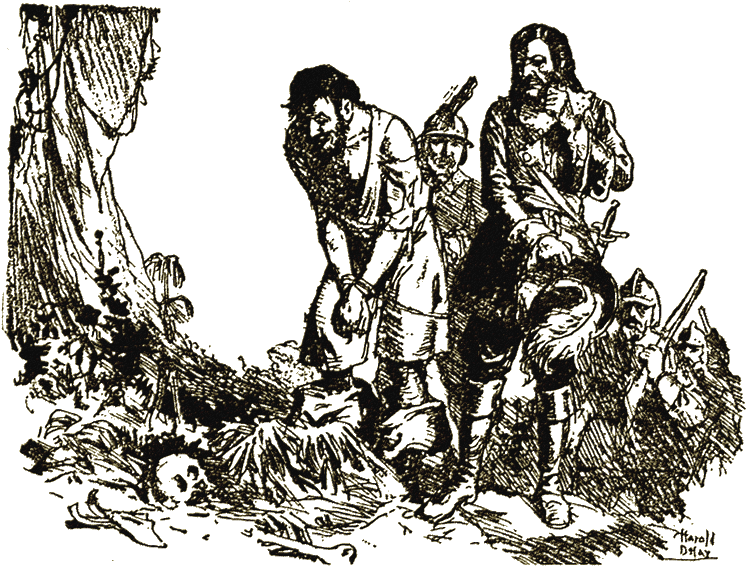 Illustration