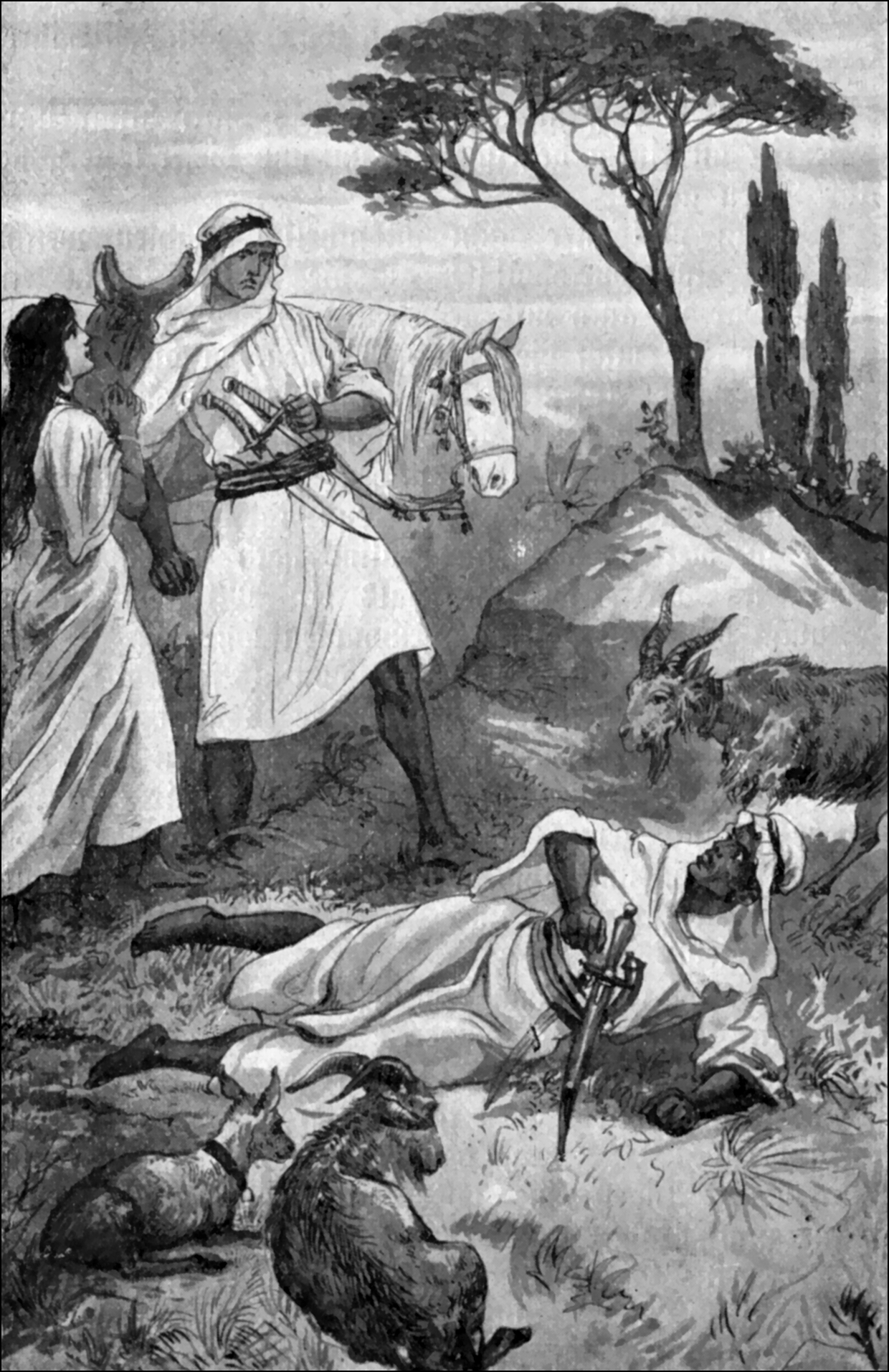 Illustration