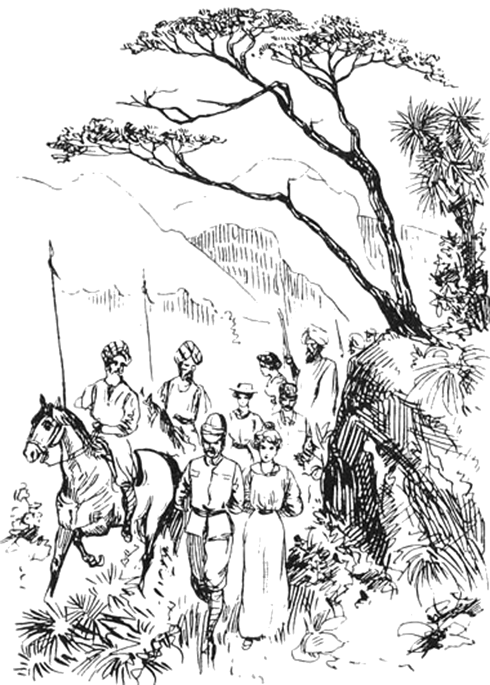 Illustration