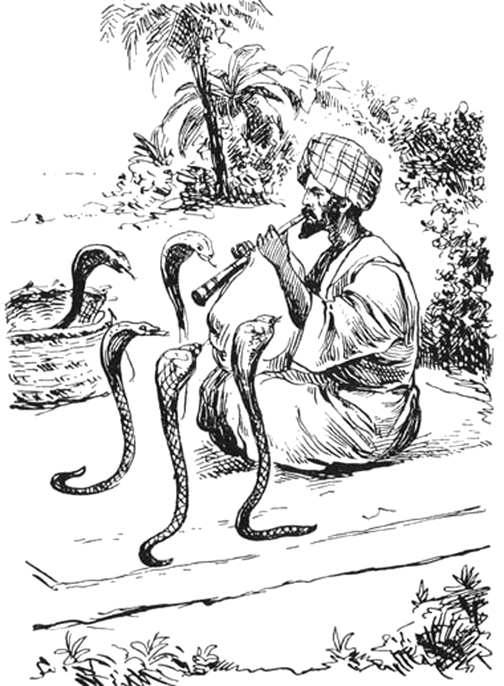 Illustration