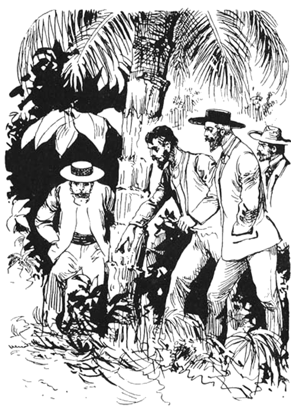Illustration