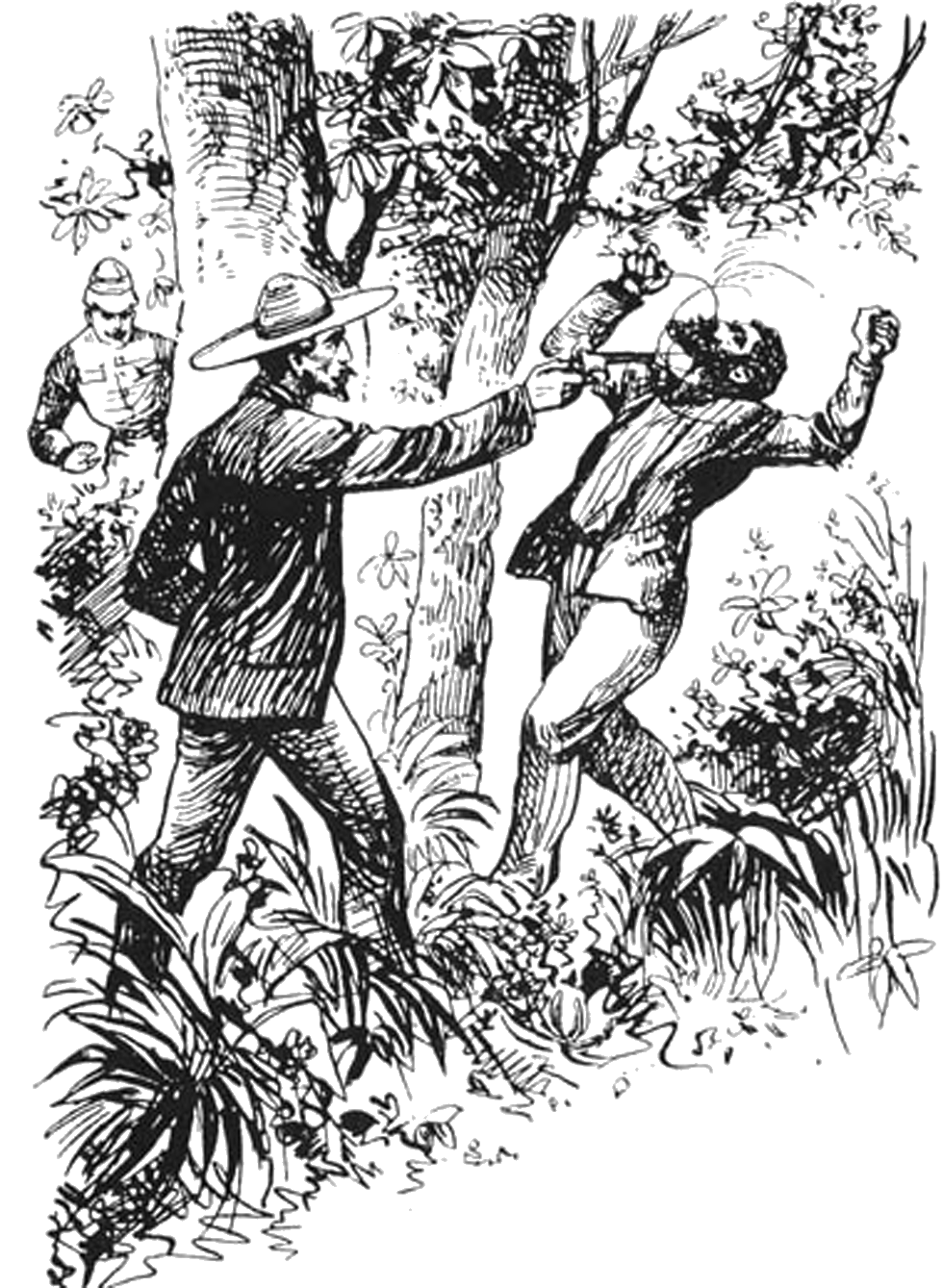 Illustration