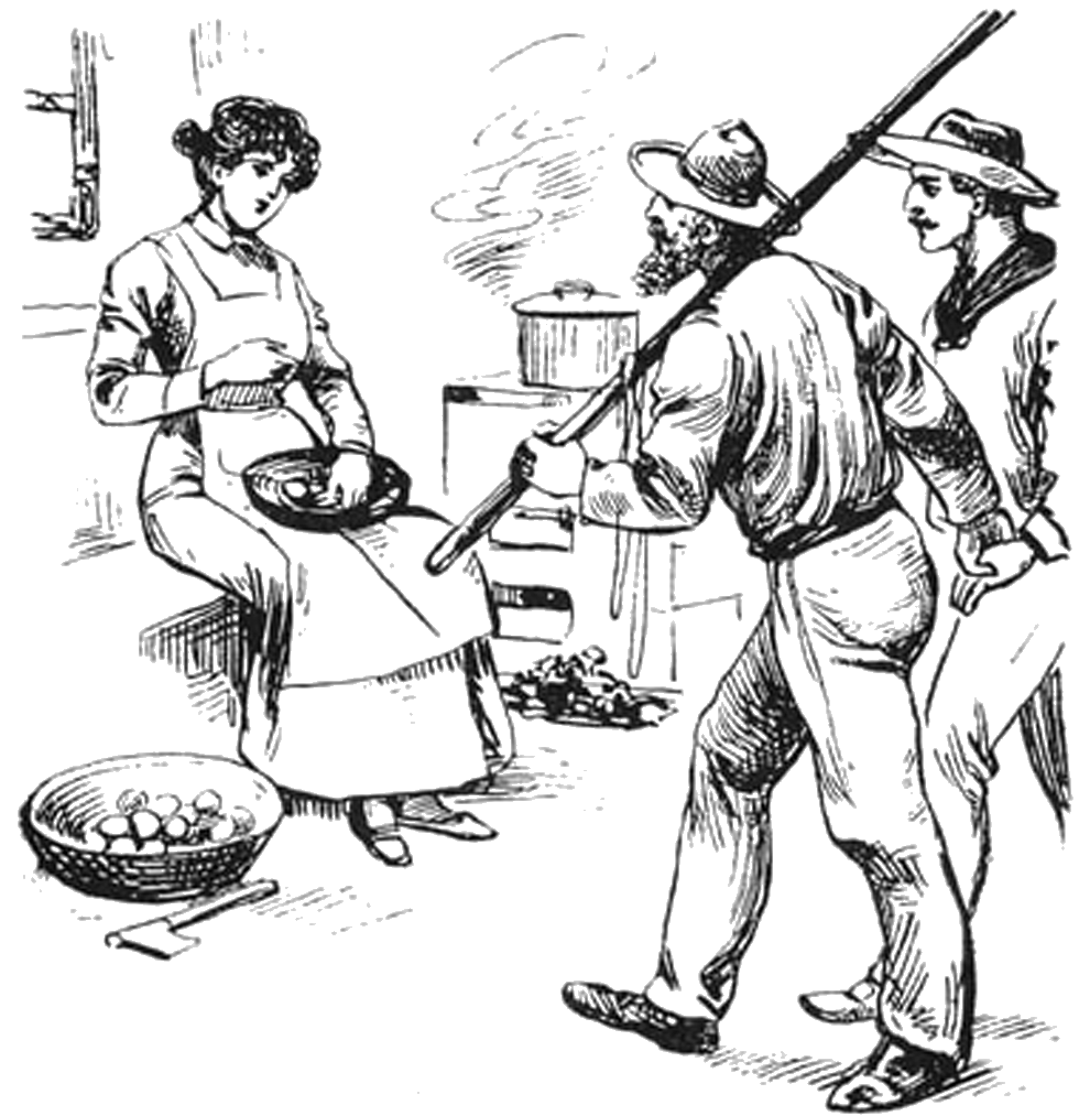 Illustration